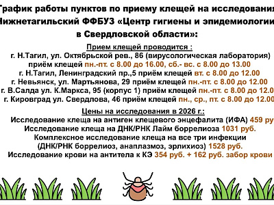 Куда сдать клеща