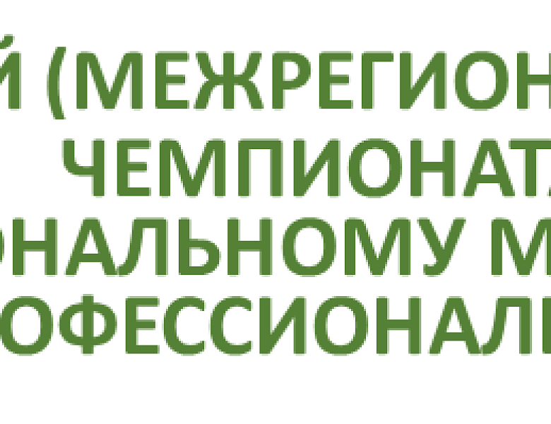 Чемпионат по профессиональному мастерству "Профессионалы"