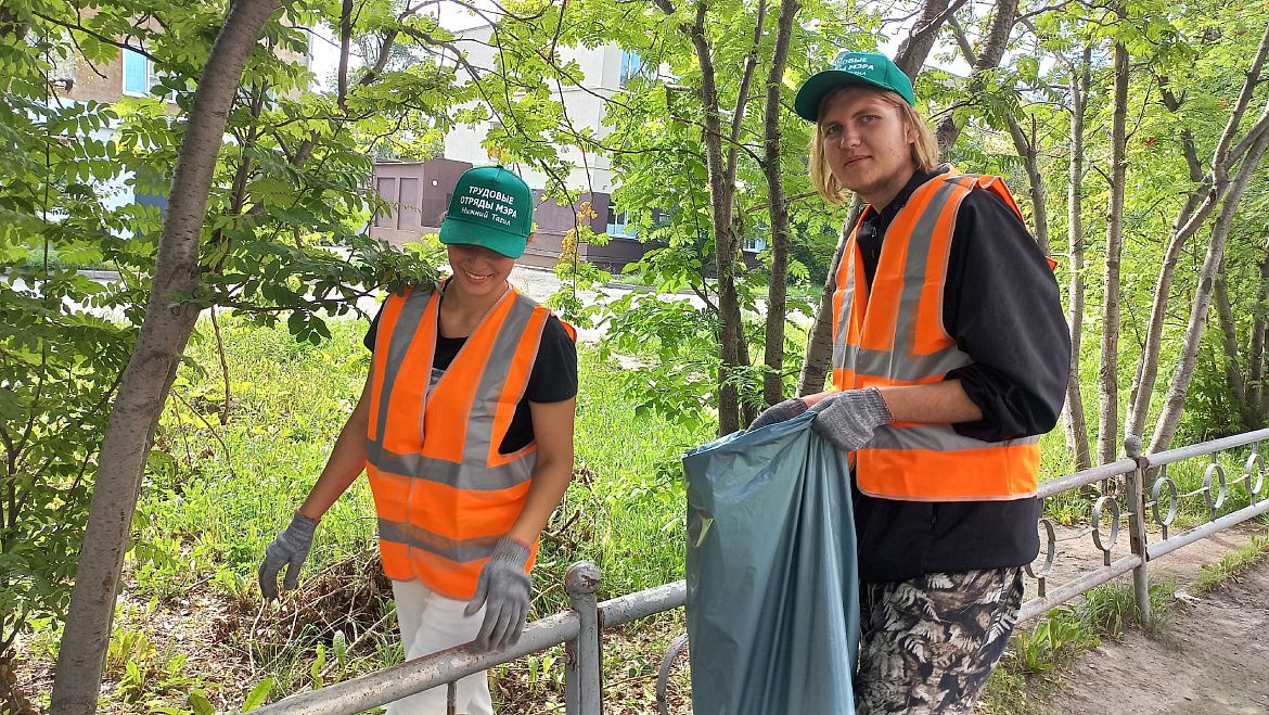 Трудовые отряды мэра 2023