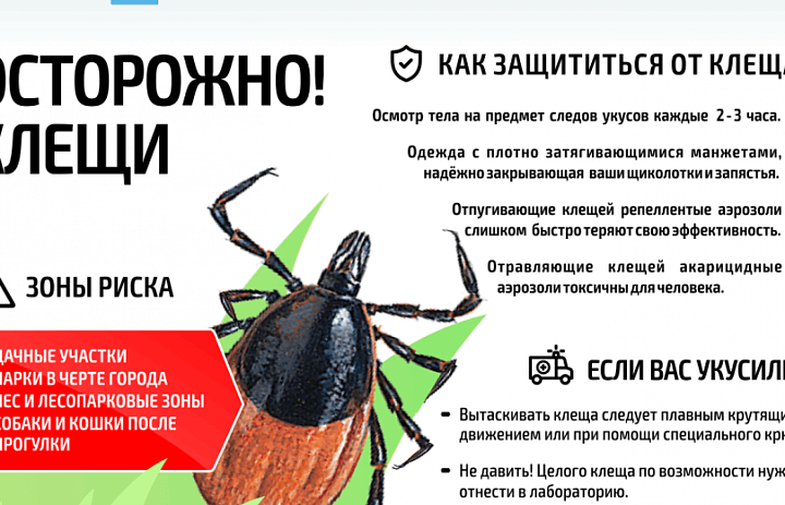 Осторожно: КЛЕЩИ!